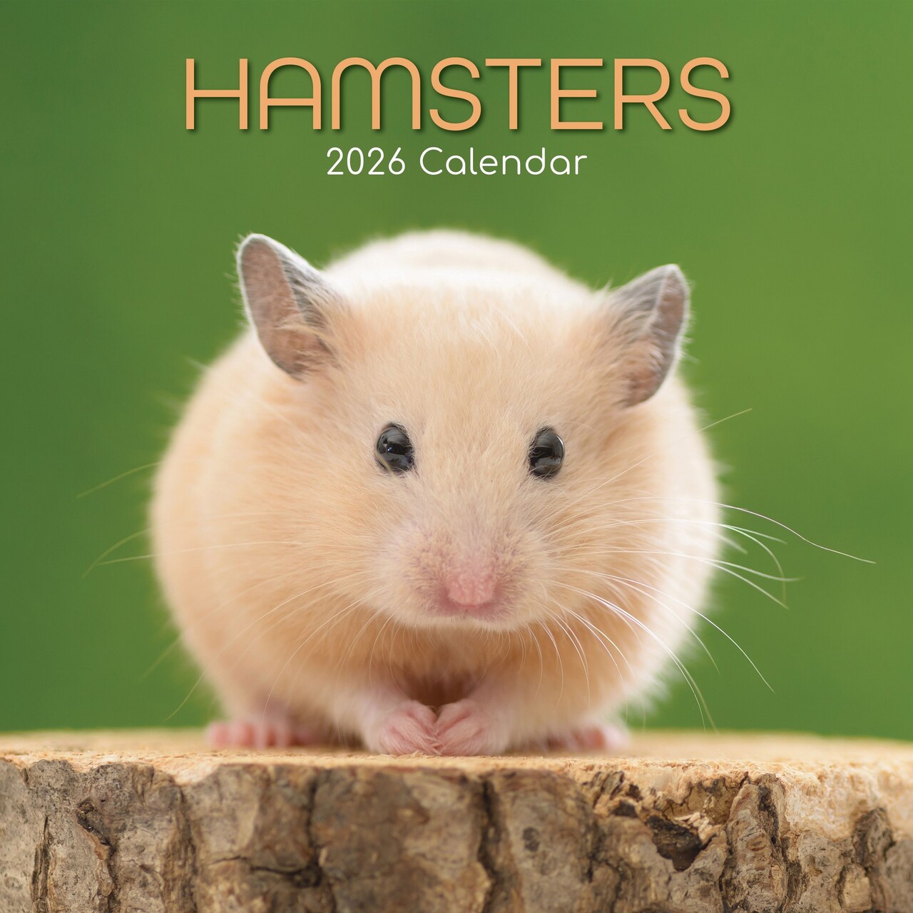 The Gifted Stationery 16-Month Square Wall Calendar - Adorable Hamster Art & 2026 Calendar - 180 Reminder Stickers & 2026 Planner - Easy-Hang Design & Wall Planner - Sept 2025-Dec 2026, 12×12 in